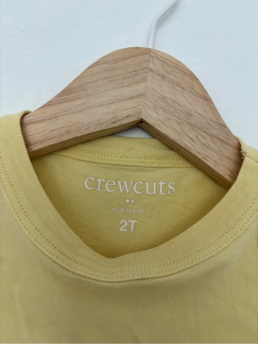Crewcuts Yellow Dog Graphic Pet Tee with Beach Float
